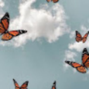 Meet your Posher, Miriam